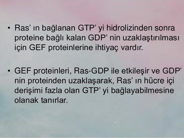 Duruş bozukluğu egzersizleri ile Etiketlenen Konular Duruş bozukluğu egzersizleri ile Etiketlenen Konular